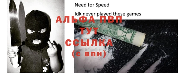 гашик Белокуриха