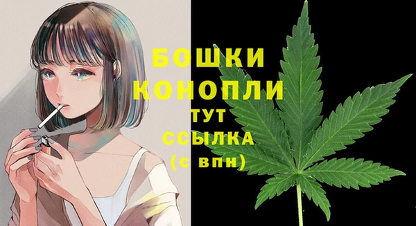гашик Белокуриха