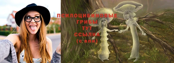 гашик Белокуриха