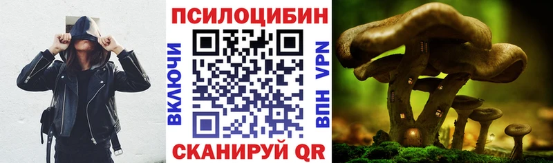 Галлюциногенные грибы MAGIC MUSHROOMS Шарыпово